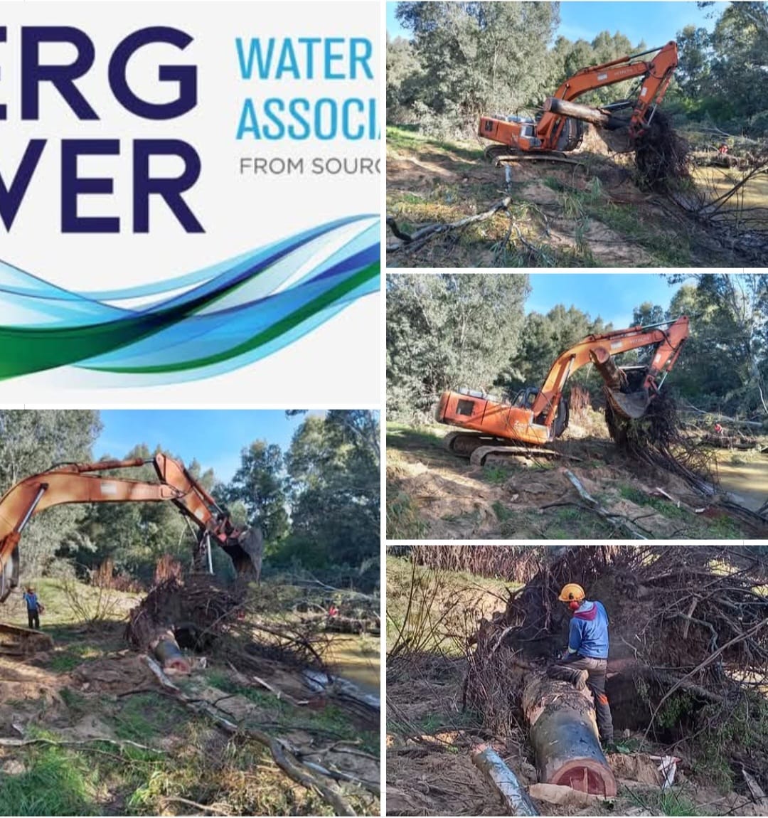 Excavator removing a large tree block from the Berg River